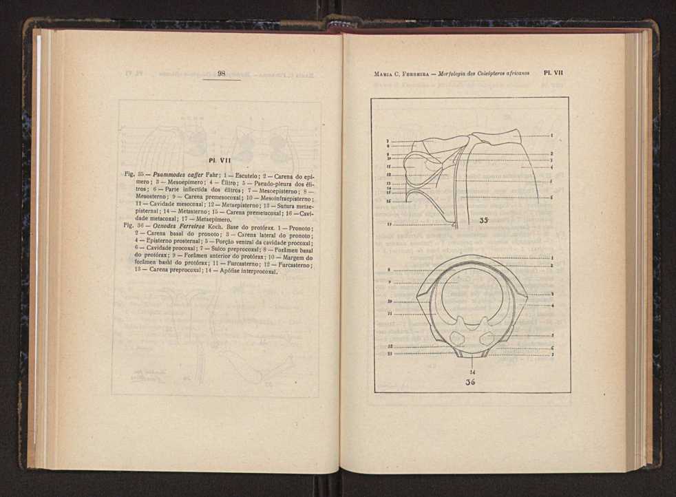 Anais da Faculdade de Scincias do Porto (antigos Annaes Scientificos da Academia Polytecnica do Porto). Vol. 37 54