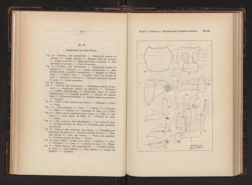 Anais da Faculdade de Scincias do Porto (antigos Annaes Scientificos da Academia Polytecnica do Porto). Vol. 37 56