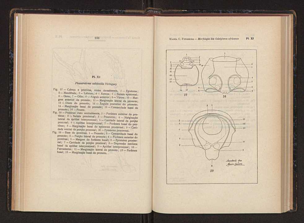 Anais da Faculdade de Sci�ncias do Porto (antigos Annaes Scientificos da Academia Polytecnica do Porto). Vol. 37 58