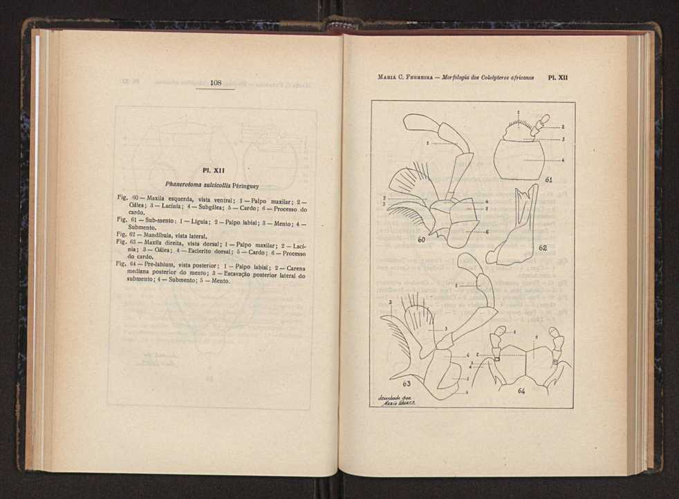 Anais da Faculdade de Scincias do Porto (antigos Annaes Scientificos da Academia Polytecnica do Porto). Vol. 37 59