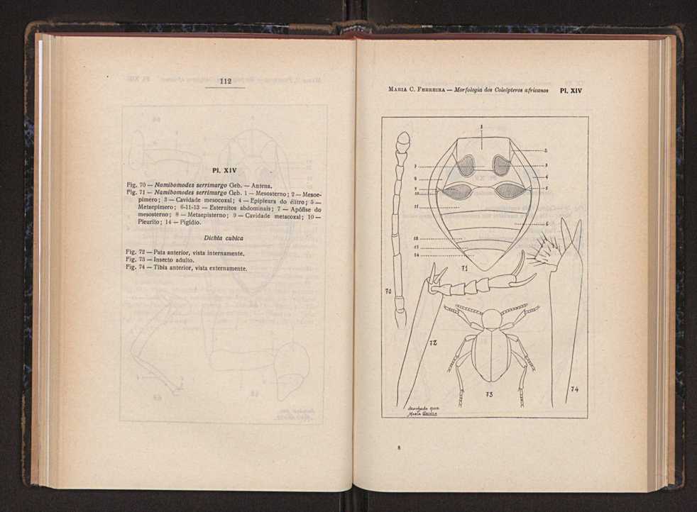 Anais da Faculdade de Scincias do Porto (antigos Annaes Scientificos da Academia Polytecnica do Porto). Vol. 37 61