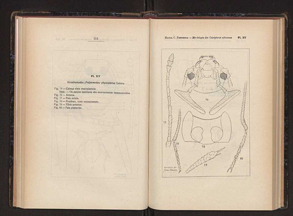 Anais da Faculdade de Scincias do Porto (antigos Annaes Scientificos da Academia Polytecnica do Porto). Vol. 37 62