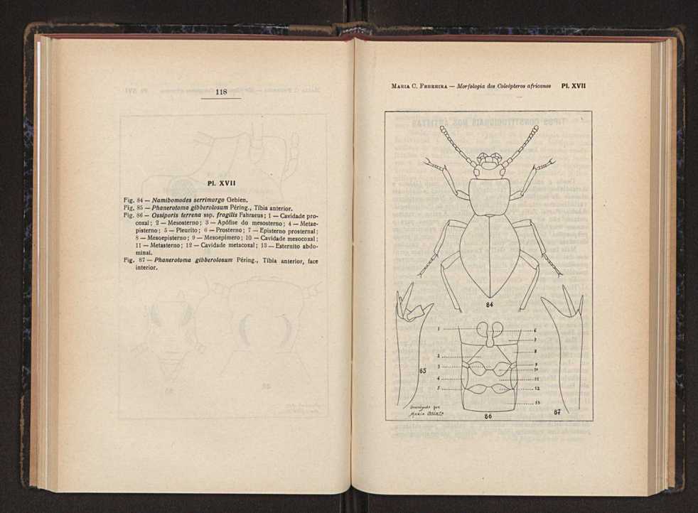 Anais da Faculdade de Scincias do Porto (antigos Annaes Scientificos da Academia Polytecnica do Porto). Vol. 37 64