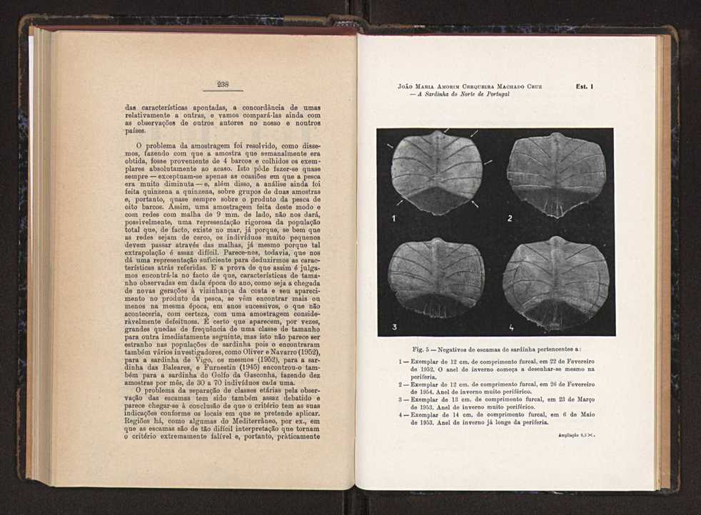Anais da Faculdade de Scincias do Porto (antigos Annaes Scientificos da Academia Polytecnica do Porto). Vol. 37 125