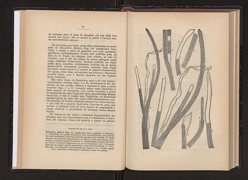 Anais da Faculdade de Scincias do Porto (antigos Annaes Scientificos da Academia Polytecnica do Porto). Vol. 38 42