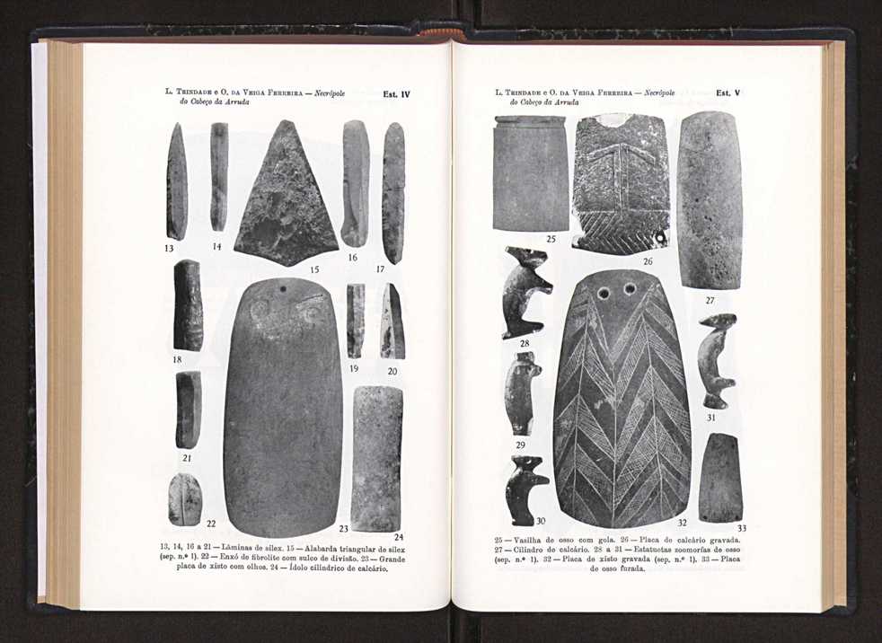 Anais da Faculdade de Scincias do Porto (antigos Annaes Scientificos da Academia Polytecnica do Porto). Vol. 38 111