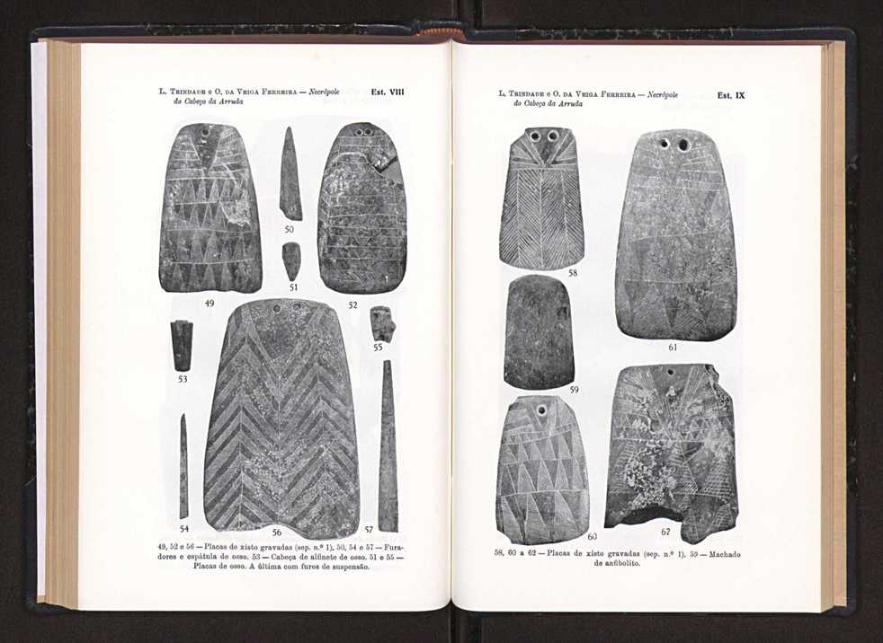 Anais da Faculdade de Scincias do Porto (antigos Annaes Scientificos da Academia Polytecnica do Porto). Vol. 38 113