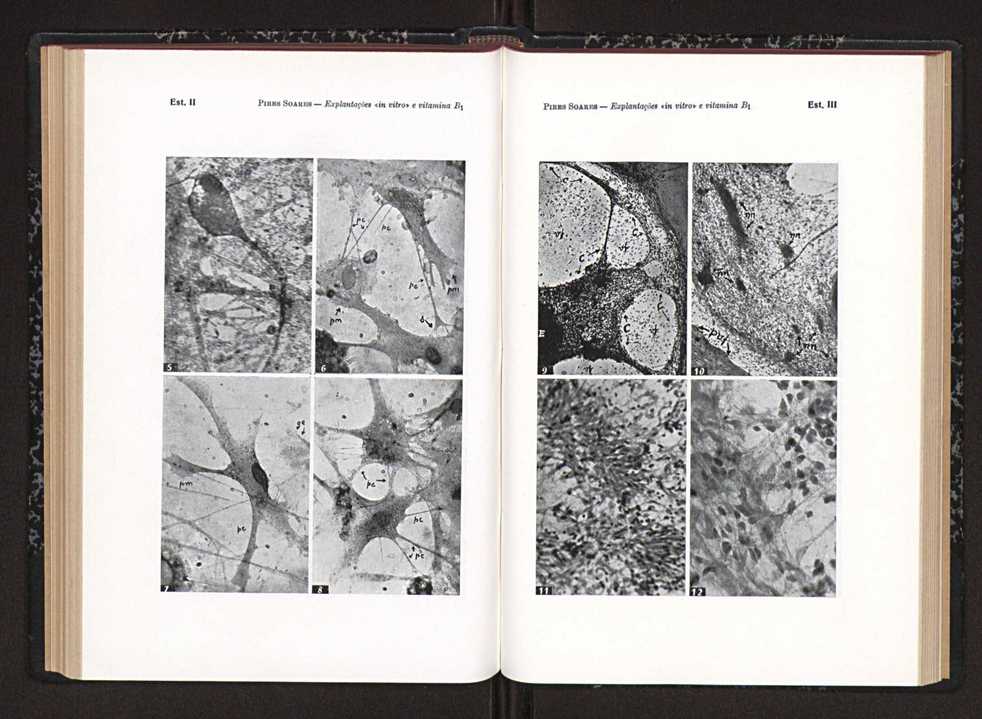 Anais da Faculdade de Scincias do Porto (antigos Annaes Scientificos da Academia Polytecnica do Porto). Vol. 39 97