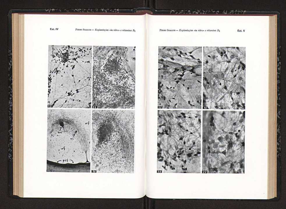 Anais da Faculdade de Scincias do Porto (antigos Annaes Scientificos da Academia Polytecnica do Porto). Vol. 39 98