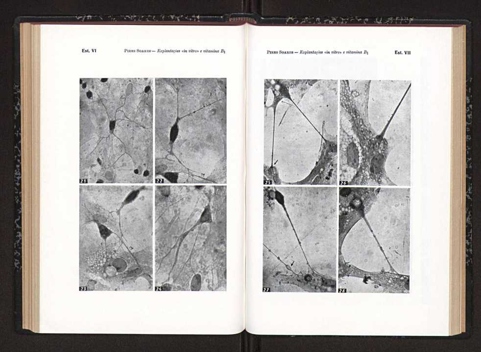 Anais da Faculdade de Scincias do Porto (antigos Annaes Scientificos da Academia Polytecnica do Porto). Vol. 39 99