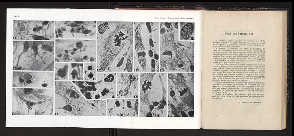 Anais da Faculdade de Scincias do Porto (antigos Annaes Scientificos da Academia Polytecnica do Porto). Vol. 39 101