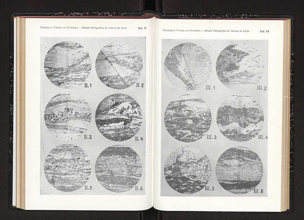 Anais da Faculdade de Scincias do Porto (antigos Annaes Scientificos da Academia Polytecnica do Porto). Vol. 40 104