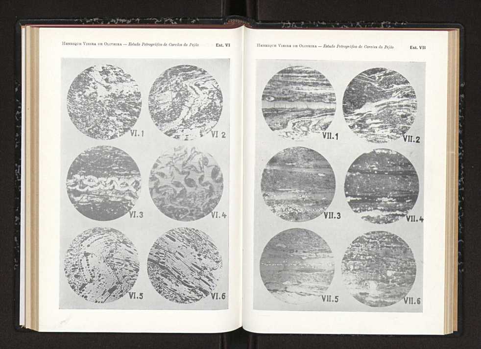 Anais da Faculdade de Scincias do Porto (antigos Annaes Scientificos da Academia Polytecnica do Porto). Vol. 40 106