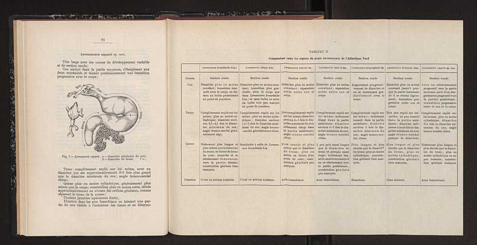 Anais da Faculdade de Scincias do Porto (antigos Annaes Scientificos da Academia Polytecnica do Porto). Vol. 41 49