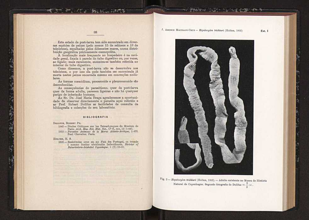 Anais da Faculdade de Sci�ncias do Porto (antigos Annaes Scientificos da Academia Polytecnica do Porto). Vol. 41 52