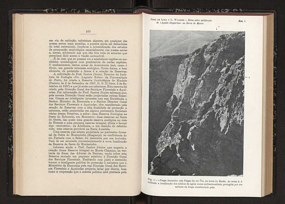 Anais da Faculdade de Scincias do Porto (antigos Annaes Scientificos da Academia Polytecnica do Porto). Vol. 41 59