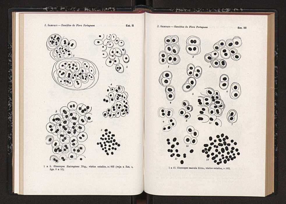 Anais da Faculdade de Sci�ncias do Porto (antigos Annaes Scientificos da Academia Polytecnica do Porto). Vol. 41 89