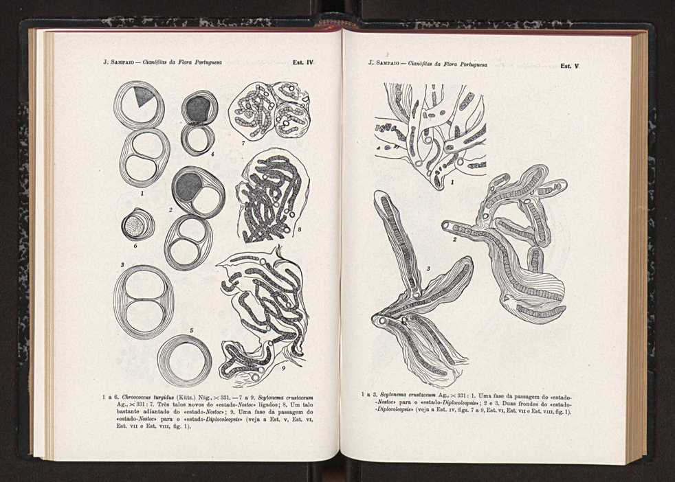 Anais da Faculdade de Scincias do Porto (antigos Annaes Scientificos da Academia Polytecnica do Porto). Vol. 41 90