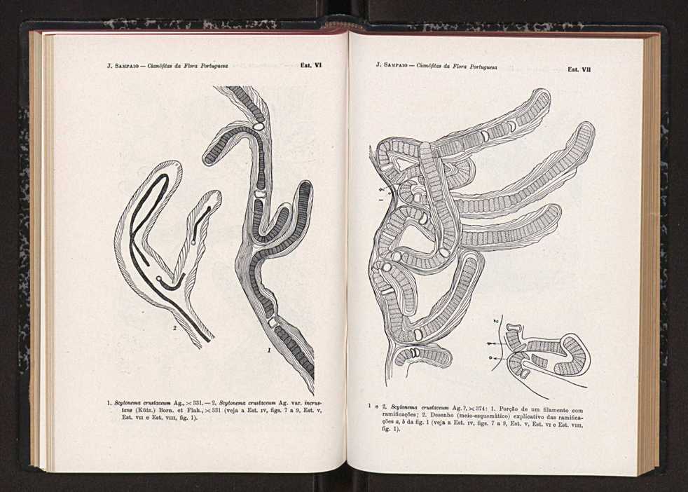 Anais da Faculdade de Sci�ncias do Porto (antigos Annaes Scientificos da Academia Polytecnica do Porto). Vol. 41 91