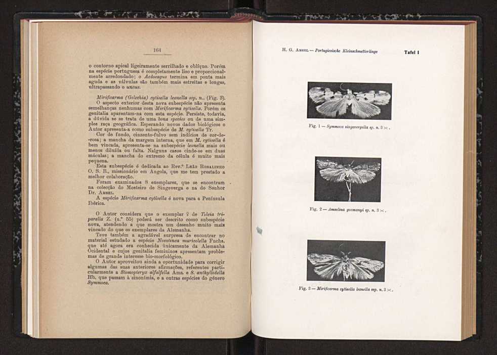 Anais da Faculdade de Scincias do Porto (antigos Annaes Scientificos da Academia Polytecnica do Porto). Vol. 41 100