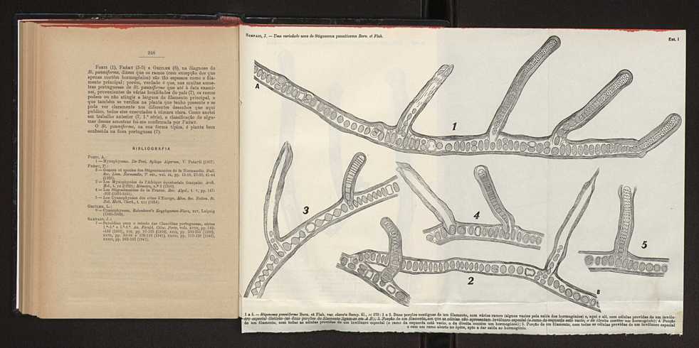 Anais da Faculdade de Scincias do Porto (antigos Annaes Scientificos da Academia Polytecnica do Porto). Vol. 42 130