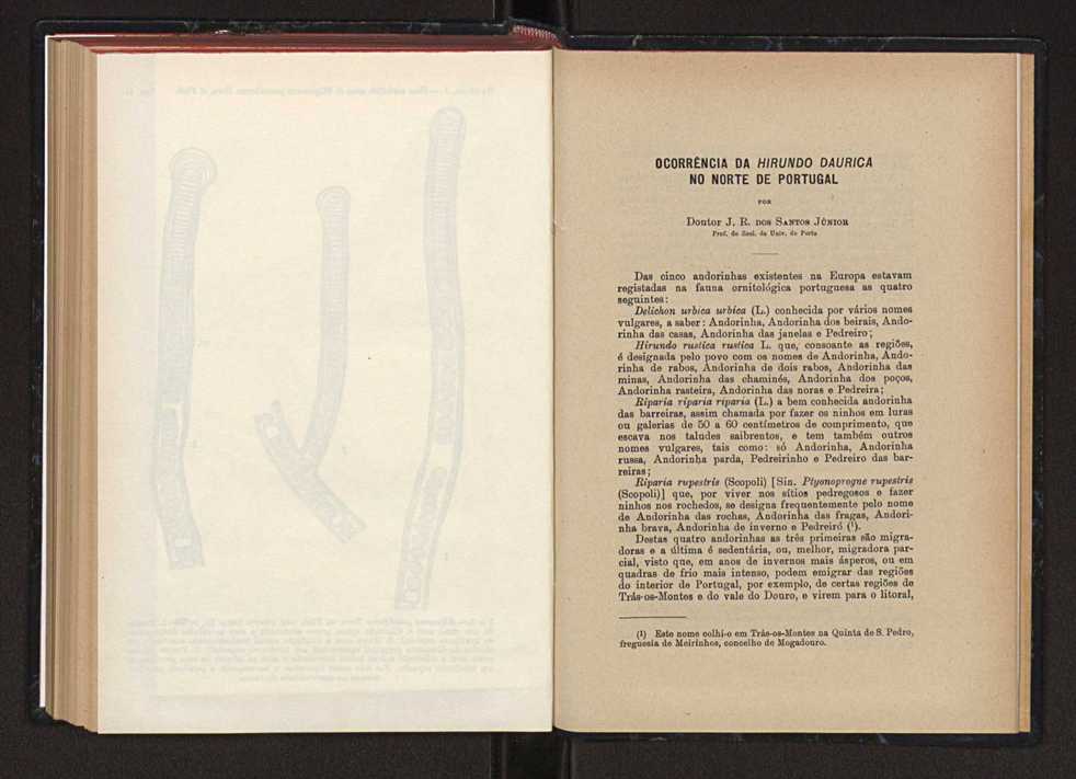 Anais da Faculdade de Scincias do Porto (antigos Annaes Scientificos da Academia Polytecnica do Porto). Vol. 42 132