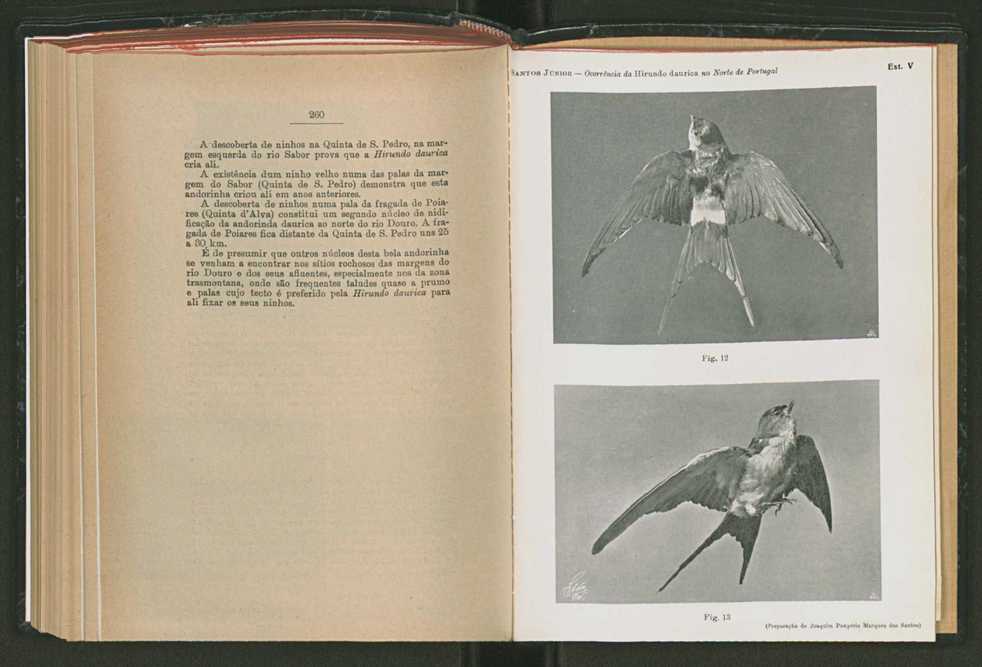 Anais da Faculdade de Scincias do Porto (antigos Annaes Scientificos da Academia Polytecnica do Porto). Vol. 42 140