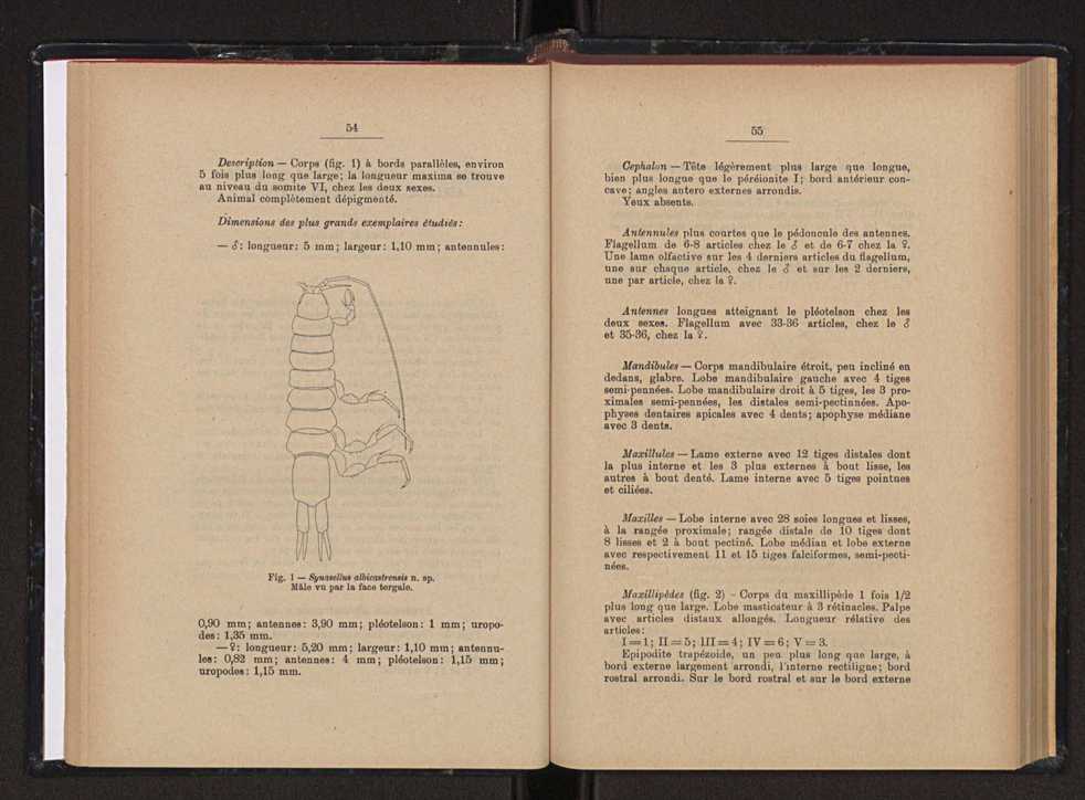 Anais da Faculdade de Scincias do Porto (antigos Annaes Scientificos da Academia Polytecnica do Porto). Vol. 43 29