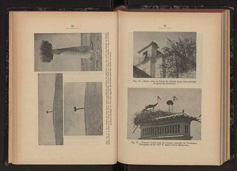 Anais da Faculdade de Scincias do Porto (antigos Annaes Scientificos da Academia Polytecnica do Porto). Vol. 44 29