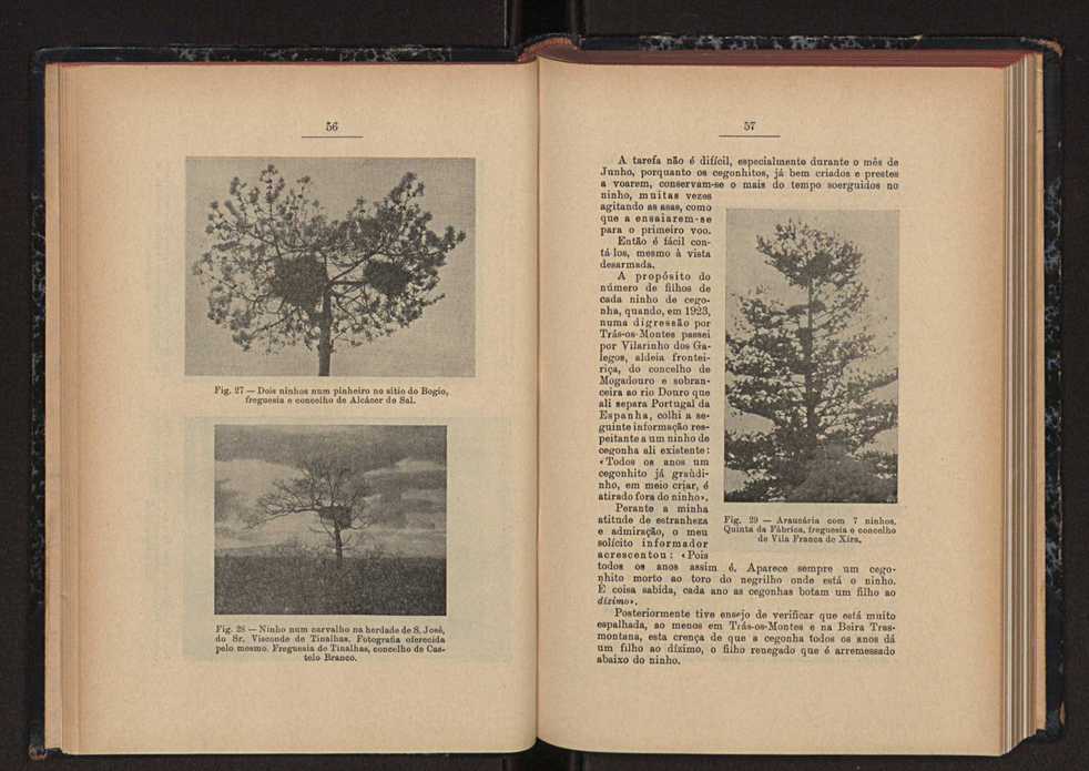 Anais da Faculdade de Scincias do Porto (antigos Annaes Scientificos da Academia Polytecnica do Porto). Vol. 44 32