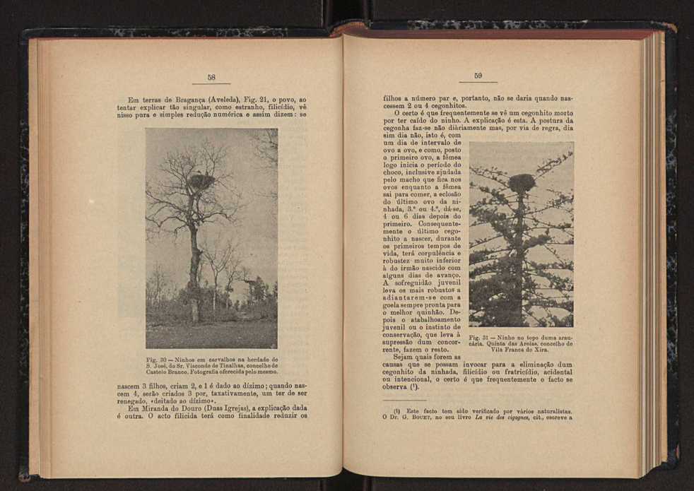 Anais da Faculdade de Sci�ncias do Porto (antigos Annaes Scientificos da Academia Polytecnica do Porto). Vol. 44 33