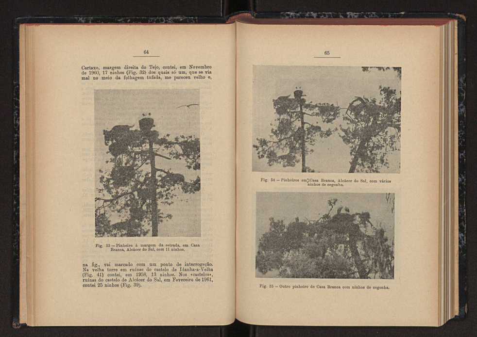 Anais da Faculdade de Scincias do Porto (antigos Annaes Scientificos da Academia Polytecnica do Porto). Vol. 44 36