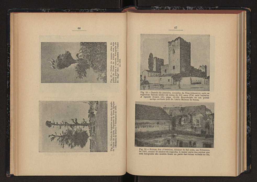 Anais da Faculdade de Scincias do Porto (antigos Annaes Scientificos da Academia Polytecnica do Porto). Vol. 44 37