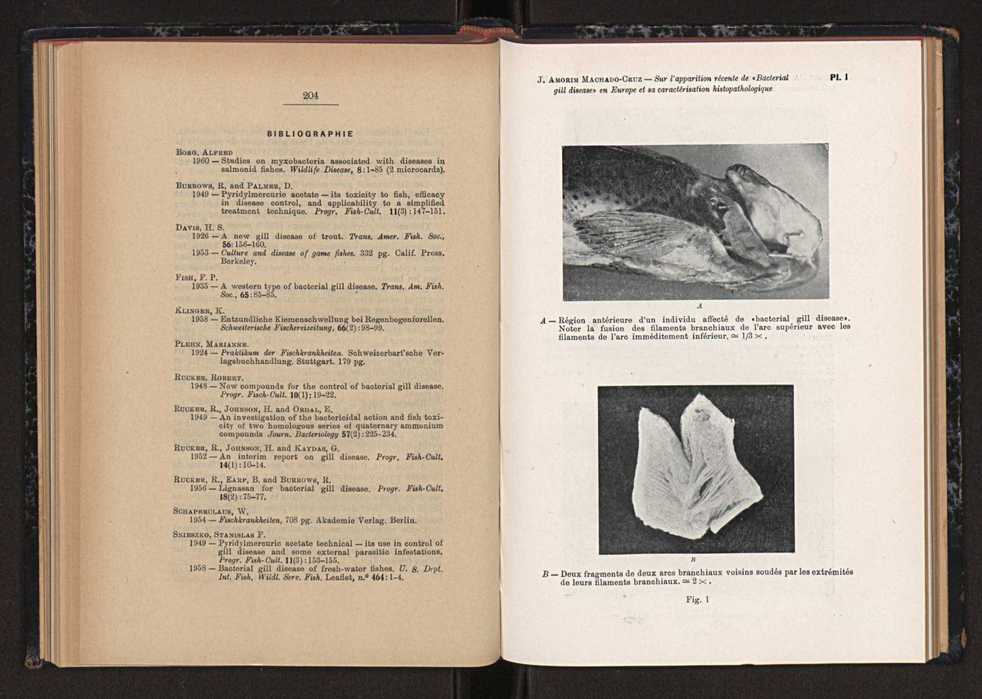 Anais da Faculdade de Scincias do Porto (antigos Annaes Scientificos da Academia Polytecnica do Porto). Vol. 44 114