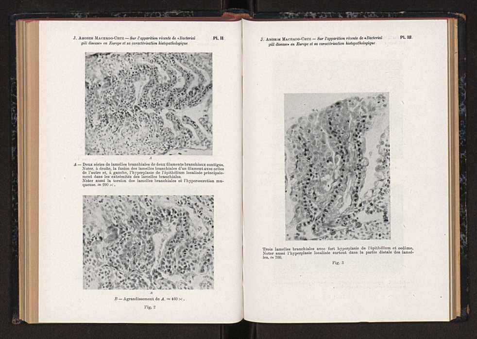 Anais da Faculdade de Scincias do Porto (antigos Annaes Scientificos da Academia Polytecnica do Porto). Vol. 44 115