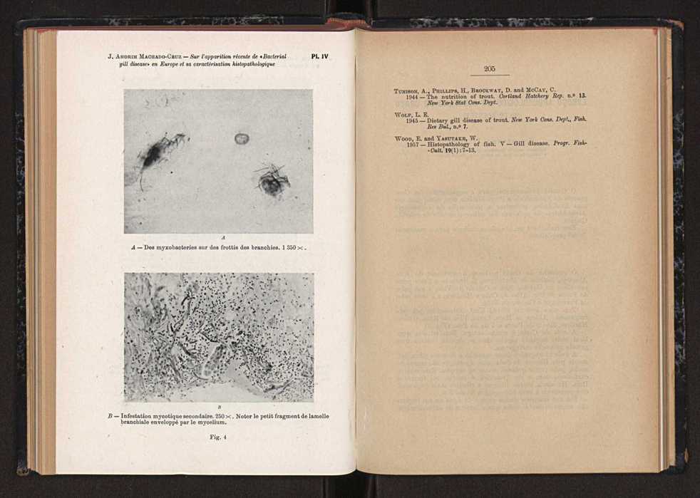 Anais da Faculdade de Scincias do Porto (antigos Annaes Scientificos da Academia Polytecnica do Porto). Vol. 44 116
