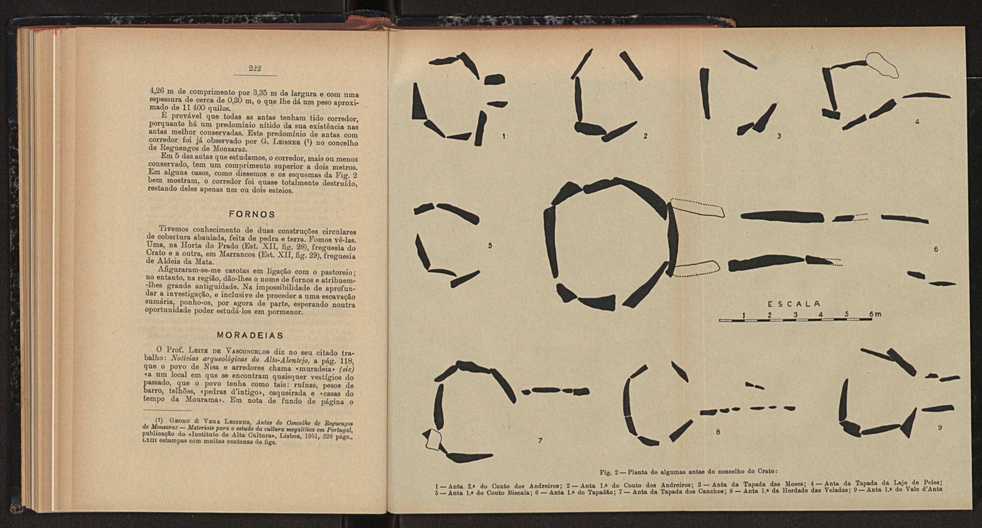 Anais da Faculdade de Scincias do Porto (antigos Annaes Scientificos da Academia Polytecnica do Porto). Vol. 44 126
