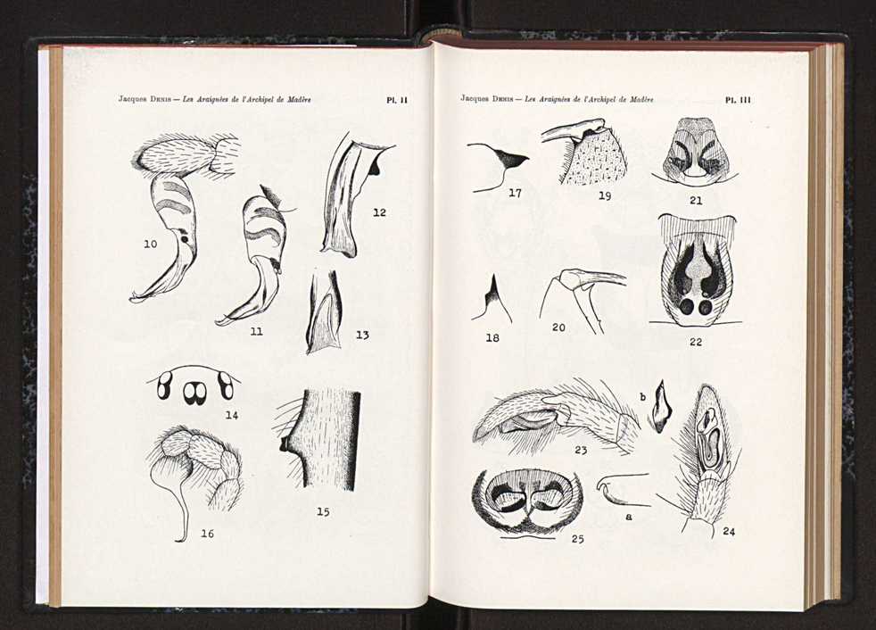 Anais da Faculdade de Scincias do Porto (antigos Annaes Scientificos da Academia Polytecnica do Porto). Vol. 45 29