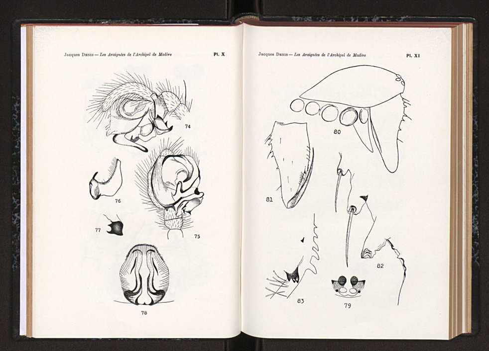 Anais da Faculdade de Scincias do Porto (antigos Annaes Scientificos da Academia Polytecnica do Porto). Vol. 45 33