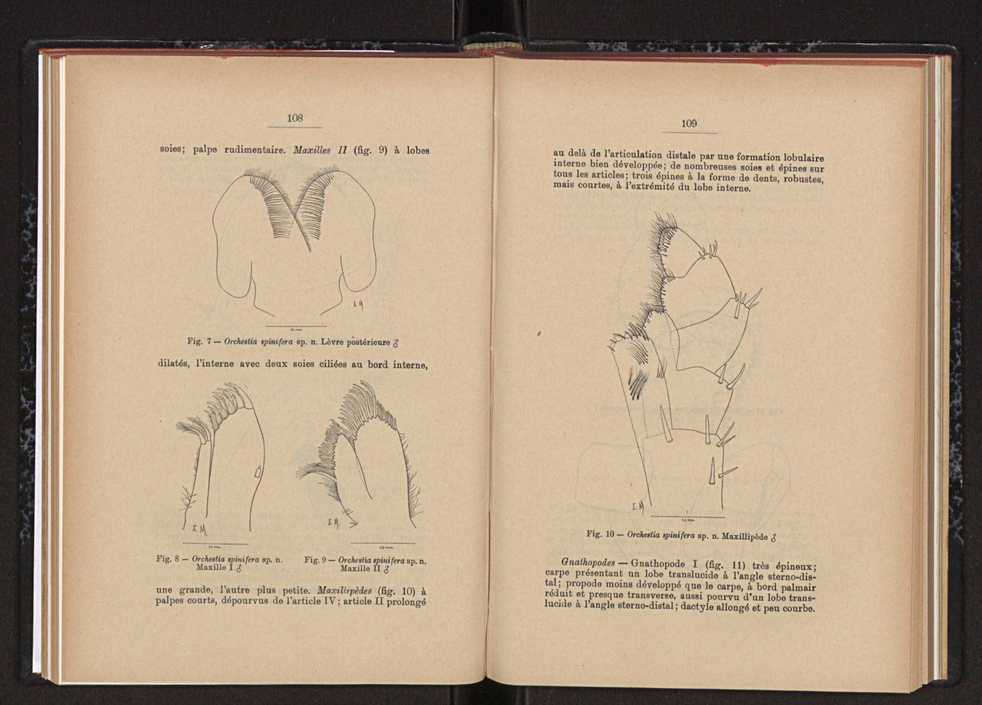 Anais da Faculdade de Scincias do Porto (antigos Annaes Scientificos da Academia Polytecnica do Porto). Vol. 45 65