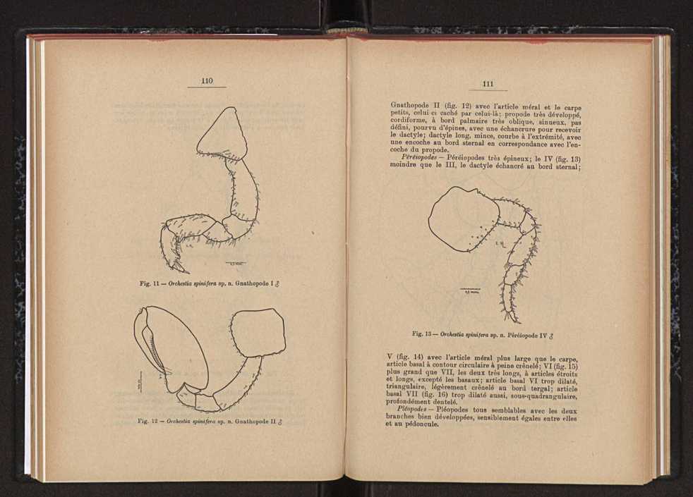 Anais da Faculdade de Scincias do Porto (antigos Annaes Scientificos da Academia Polytecnica do Porto). Vol. 45 66