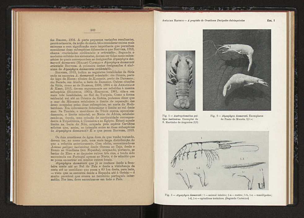 Anais da Faculdade de Scincias do Porto (antigos Annaes Scientificos da Academia Polytecnica do Porto). Vol. 45 82