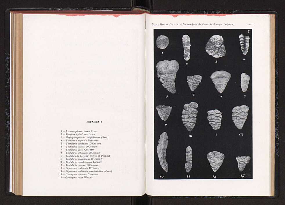 Anais da Faculdade de Scincias do Porto (antigos Annaes Scientificos da Academia Polytecnica do Porto). Vol. 45 128