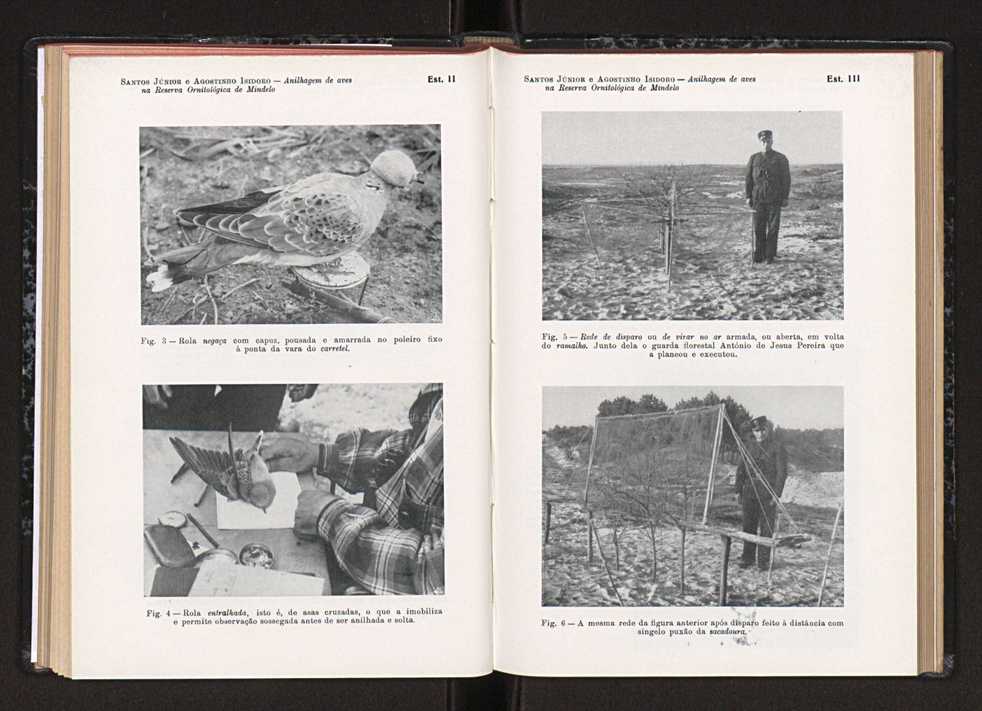 Anais da Faculdade de Scincias do Porto (antigos Annaes Scientificos da Academia Polytecnica do Porto). Vol. 46 75
