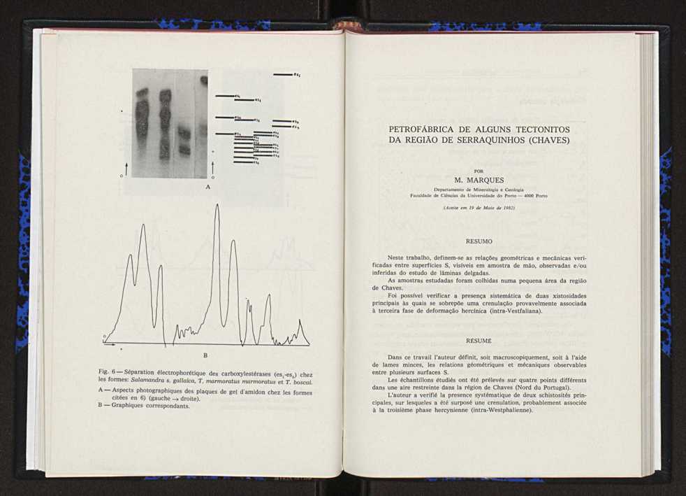 Anais da Faculdade de Cincias. Vol. 63 41