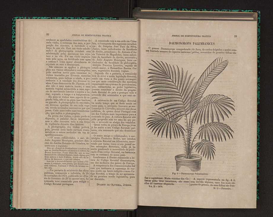 Jornal de horticultura prtica X 28