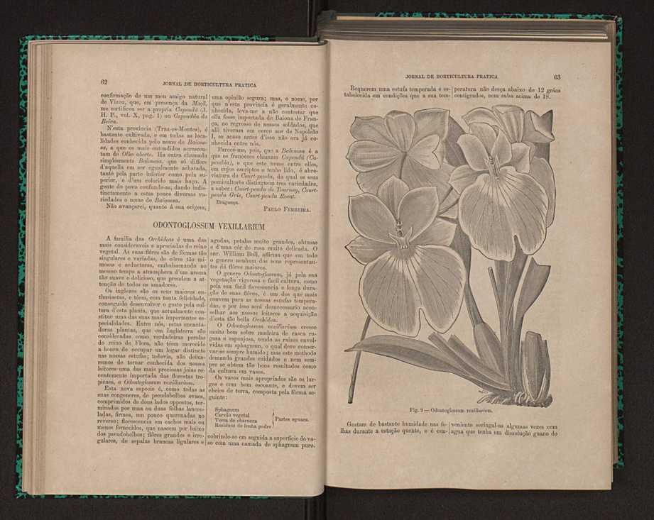 Jornal de horticultura prtica X 43
