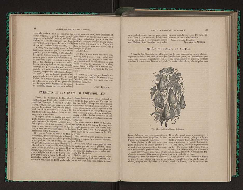 Jornal de horticultura pr�tica X 56