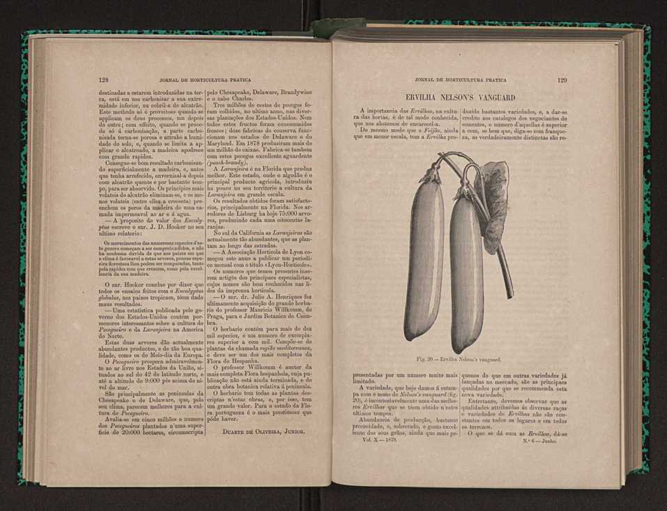 Jornal de horticultura prtica X 77