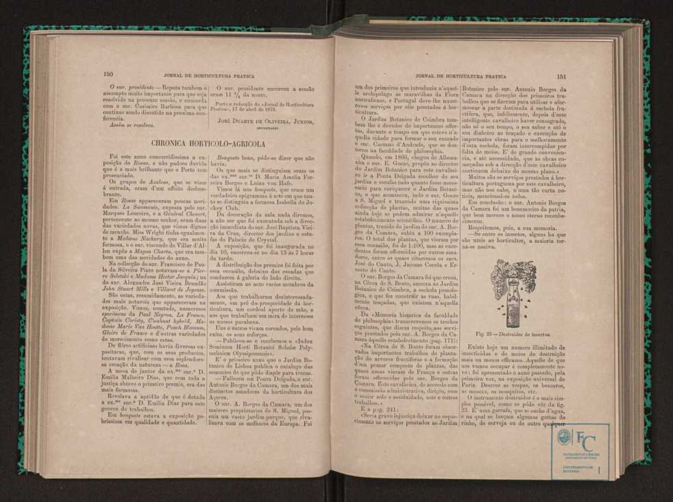 Jornal de horticultura prtica X 88